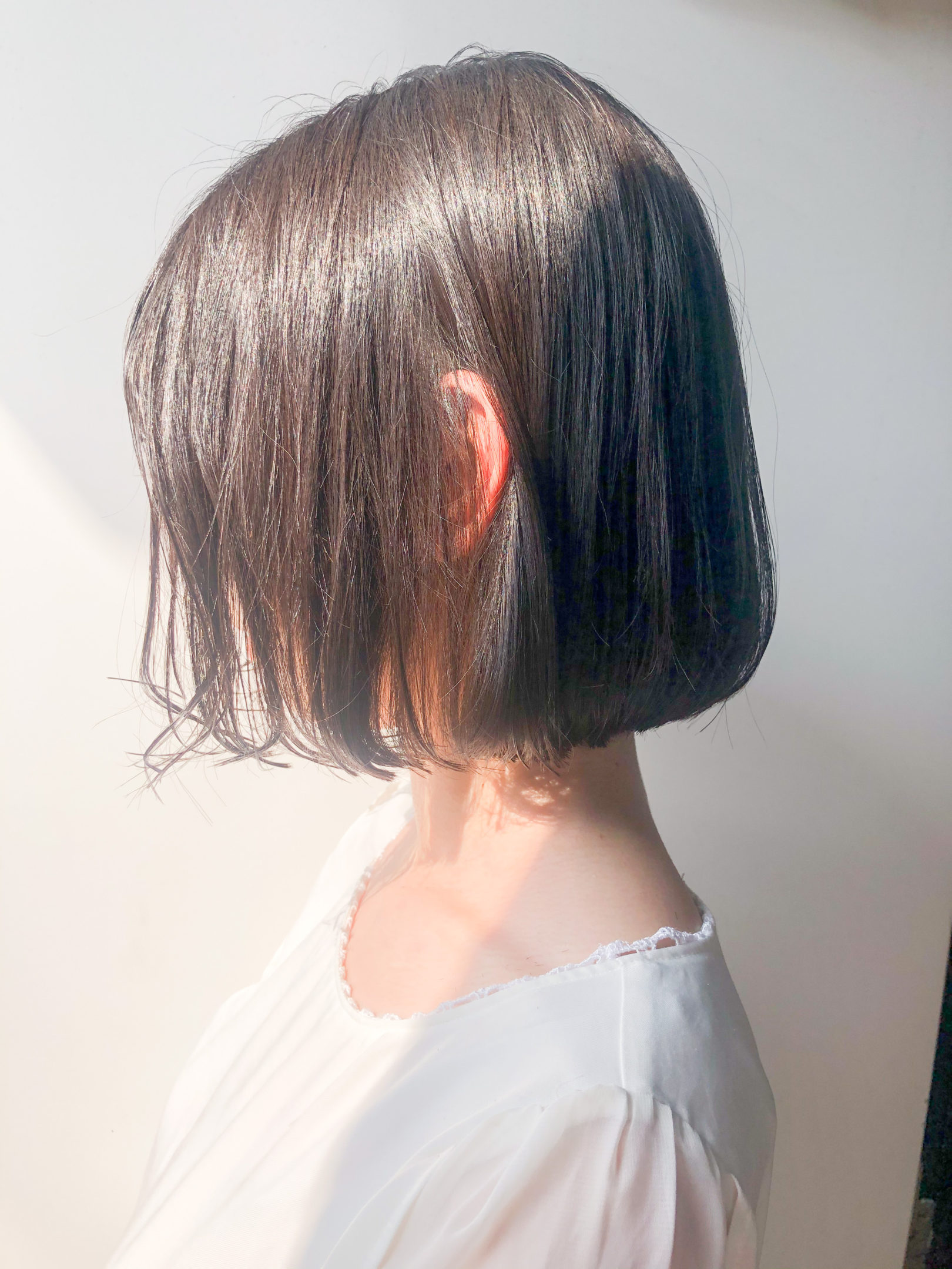 無題の投稿17807